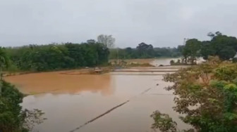 Ratusan Hektar Sawah di Sarolangun Terancam Gagal Panen