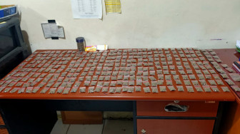 Miliki 1.324 Paket Ganja, Pengedar di Kerinci Ini Diringkus Polisi