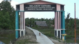 Dihajar Corona, Wisata Hutan Mangrove Sepi