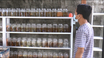 Berawal Sekadar Hobi, Kini Ari Rhama Punya Omset Jutaan Rupiah