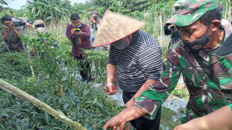 Bupati Tanjabbar dan SKK Migas – PetroChina Panen Hasil Pertanian Organik di TPA Lubuk Terentang