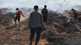 25 Ha Lahan Terbakar di Sadu Tanjabtim, Berhasil Dipadamkan