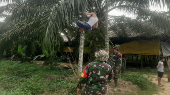 Satgas TMMD dan Warga Desa Mekarjaya Pindahkan Kabel Listrik
