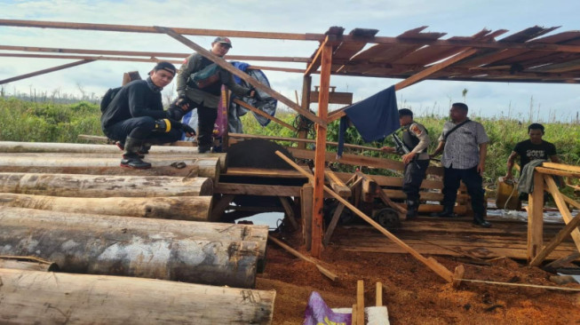 Tim Gabungan Gelar Patroli Bersama Temukan Aktifitas Illegal Logging