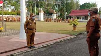 Menunggu Putusan MK, Al Haris Tetap Jalani Tugas Bupati Merangin
