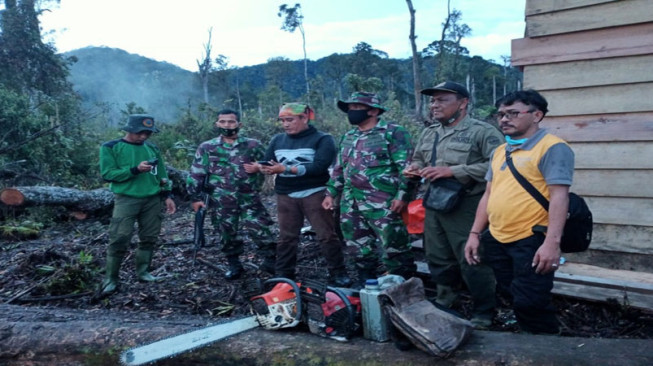 Akibat Pembalakan Liar Kawasan Kaki Gunung Kerinci Mulai Rusak