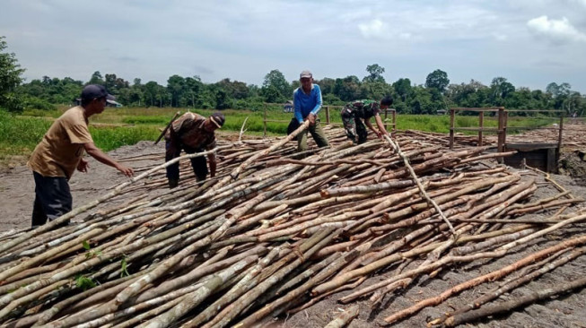 Satgas TMMD dan Warga Gotong Royong Bawa Kayu ke Lokasi Galar