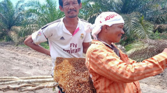 Warga Sungaiterap Dapat Sarang Lebah Madu Saat Gotong Royong