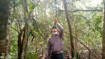 Kapenrem Tinjau Program TMMD Minum Air Akar Kayu