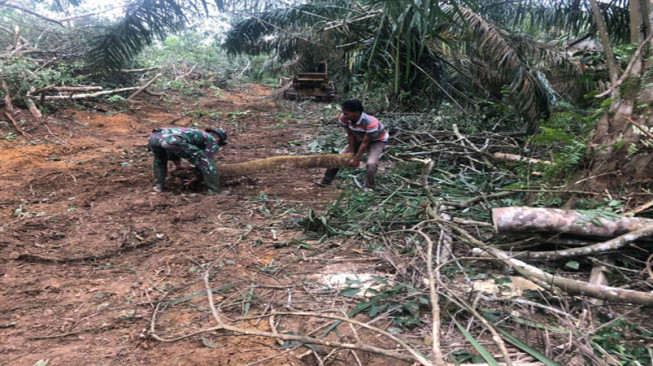 Sertu Triyanto Ajak Warga Bersihkan Pohon Tumbang