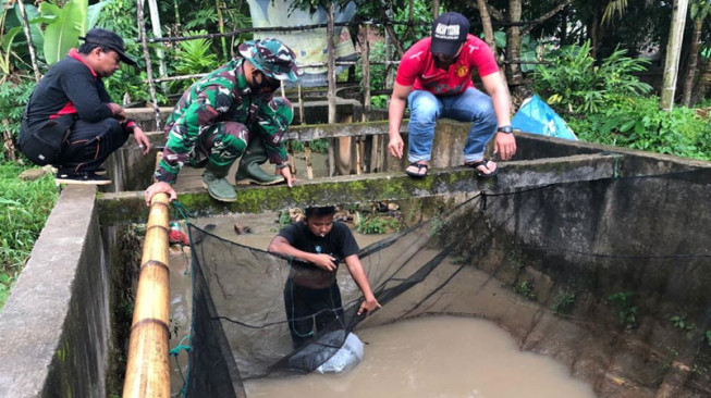 Ribuan Bibit Ikan Ditabur di Desa Mekarjaya