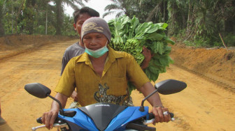 Sejak Ada Jalan TMMD, Petani Talangbelido Mudah Jual Hasil Kebun