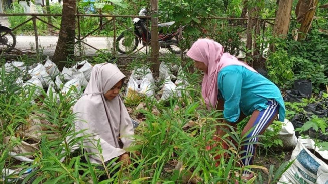 Si Bidan Desa Lebih Ampuh Tangkal Covid-19