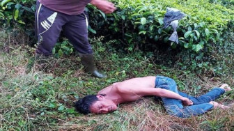 Waspada !!! Jelang Lebaran Kebun Teh Kayu Aro Rawan Rampok