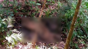 Mayat Telanjang Tanpa Kepala Gegerkan Warga Merangin