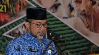Nilai Tukar Petani di Provinsi Jambi Membaik