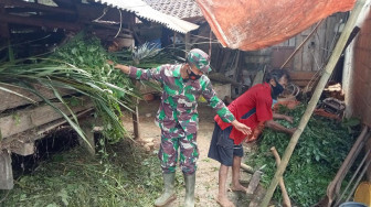 Manfaatkan Waktu Luang, Satgas TMMD 111 Bantu Beri Makan Ternak Warga