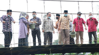 Petani Swadaya Kembangkan Model Pertanian Sawit Berkelanjutan