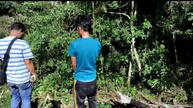 Digaruk Polisi Jangkat, Dikira Maling Kopi, Ternyata Penanam Ganja