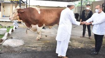 Polda Jambi Qurban 16 Sapi dan 6 Kambing