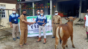 PT CEI Sumbang 4 Sapi dan 8 Kambing Qurban