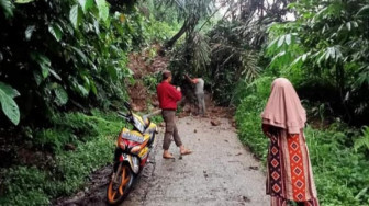 Jalan Penghubung Desa Muara Pangi-Pasar Masurai Longsor