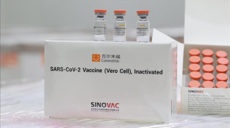 WHO Desak Negara Barat Akui Vaksin Sinovac dan Sinopharm