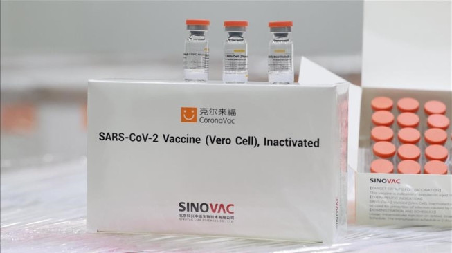 WHO Desak Negara Barat Akui Vaksin Sinovac dan Sinopharm