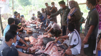 Wagub Abdullah Sani Saksikan Penyembelihan Hewan Qurban untuk SAD