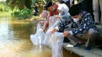 Bupati dan Wabup Tanjab Barat Tabur Benih Ikan di Lubuk Larangan