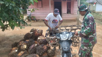 Satgas Bantu Bapak Asuh Bongkar Muat Sawit