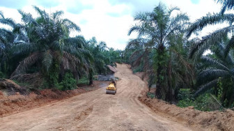Pembukaan Jalan Capai 86,2 Persen, Dansatgas : Semua Selesai Tepat Waktu