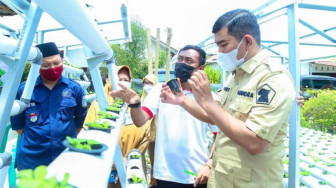 Rocky Chandra Paparkan Keuntungan Bercocok Tanam Menggunakan Hidroponik