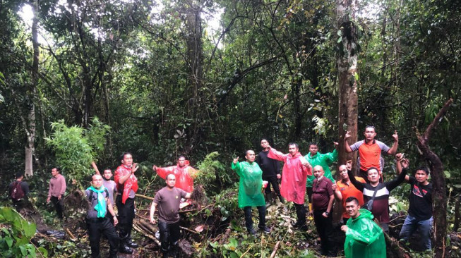 Lagi, Ada Ladang Ganja di Kerinci, Polisi Tak Temukan Pelaku