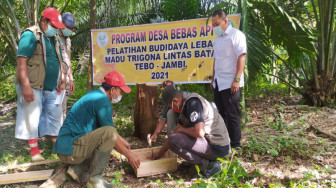 Program DBA Asian Agri, Kembangkan Lebah Trigona di Jambi