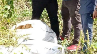 Empat Karung Ganja Misterius di Pinggir Lintas