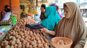 PPKM Longgar Penyebab Harga Telur Makin Populer
