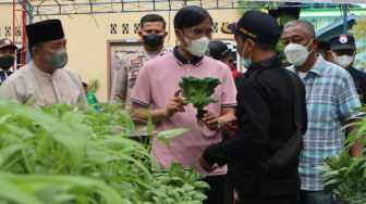 Jawab Aspirasi Anak Muda, Edi Purwanto Ikut Panen Sayuran Hidroponik