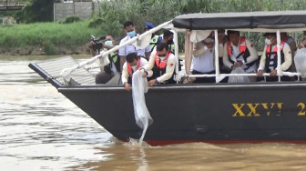 Pemprov Jambi Canangkan Gerakan Sungai Batanghari Bersih