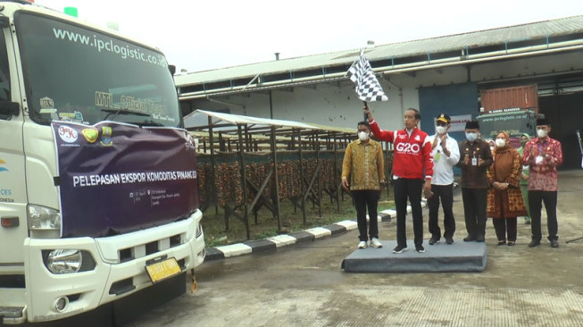 Presiden Jokowi Lepas 126 Ton Biji Pinang Asal Jambi