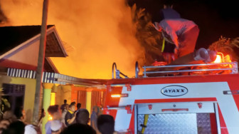 Si Jago Merah "Mengamuk" di Muara Jangga