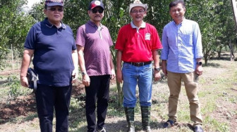 Pilgub Sumbar 2024 : Gamawan Fauzi Comeback, Rindu Sosok Pemimpin Merakyat