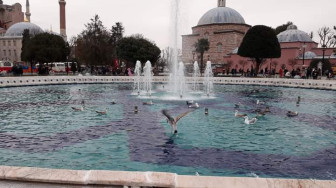 3 Fakta Perubahan Nama Turkey menjadi Turkiye. Ternyata Arti Turkey itu Ayam Kalkun