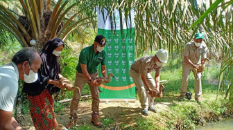 Asian Agri Dukung UMKM Peternak Bebek untuk Menggerakkan Ekonomi Desa