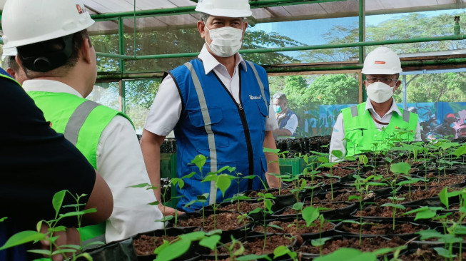 Kisah Doni Monardo melakukan Pembibitan Pohon, Dari Istana ke Bukit Asam