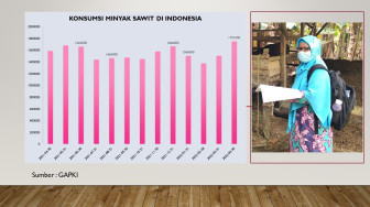 Konsumsi Minyak Sawit Tumbuh,  Bagaimana Nasib Petani Sawit?