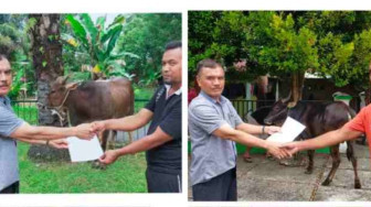 Keluarga Besar Jimmy Syamsuddin Ibrahim Qurbankan 50 Ekor Hewan