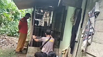 Dilarang Masuk TNI, Pemuda di Merangin Alami Gangguan Jiwa