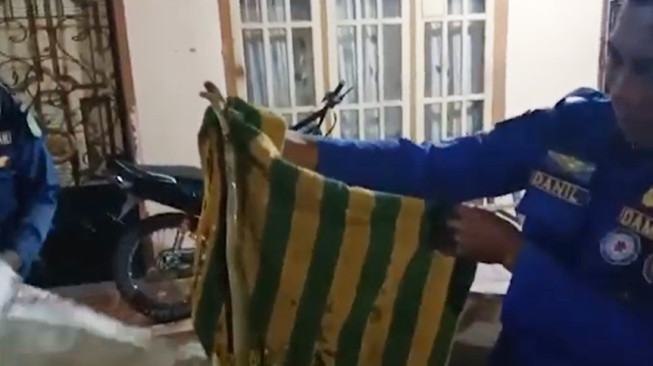Ular Kobra Masuk ke Rumah Warga Desa Air Sempit
