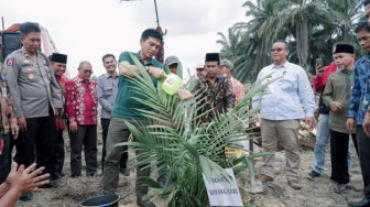 Bupati Batanghari Hadiri Replanting dan Tumpang Sari Kedelai Program Petani Cerdas